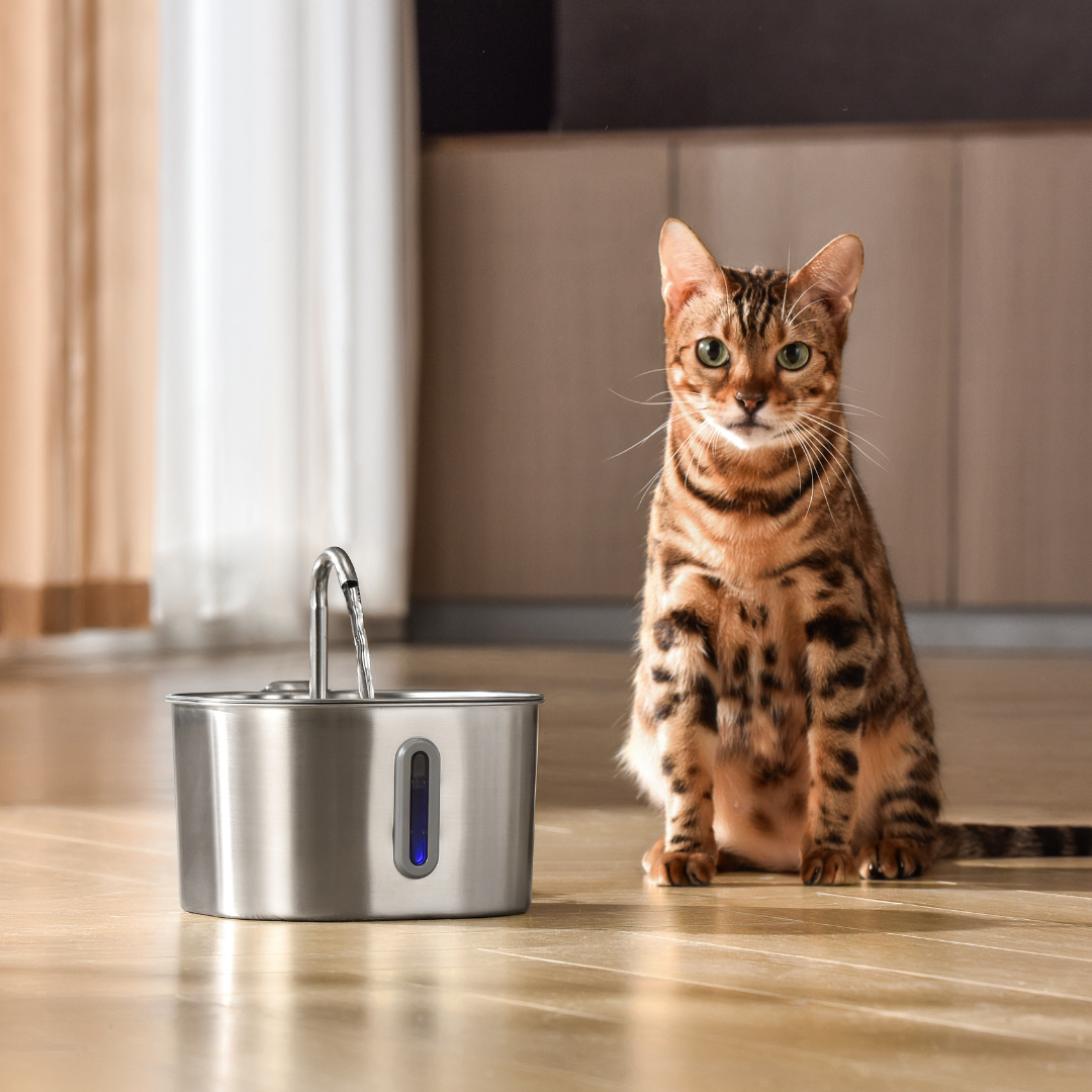 The KittySpout™ - 2.2L Fountain Health and Happiness Kit