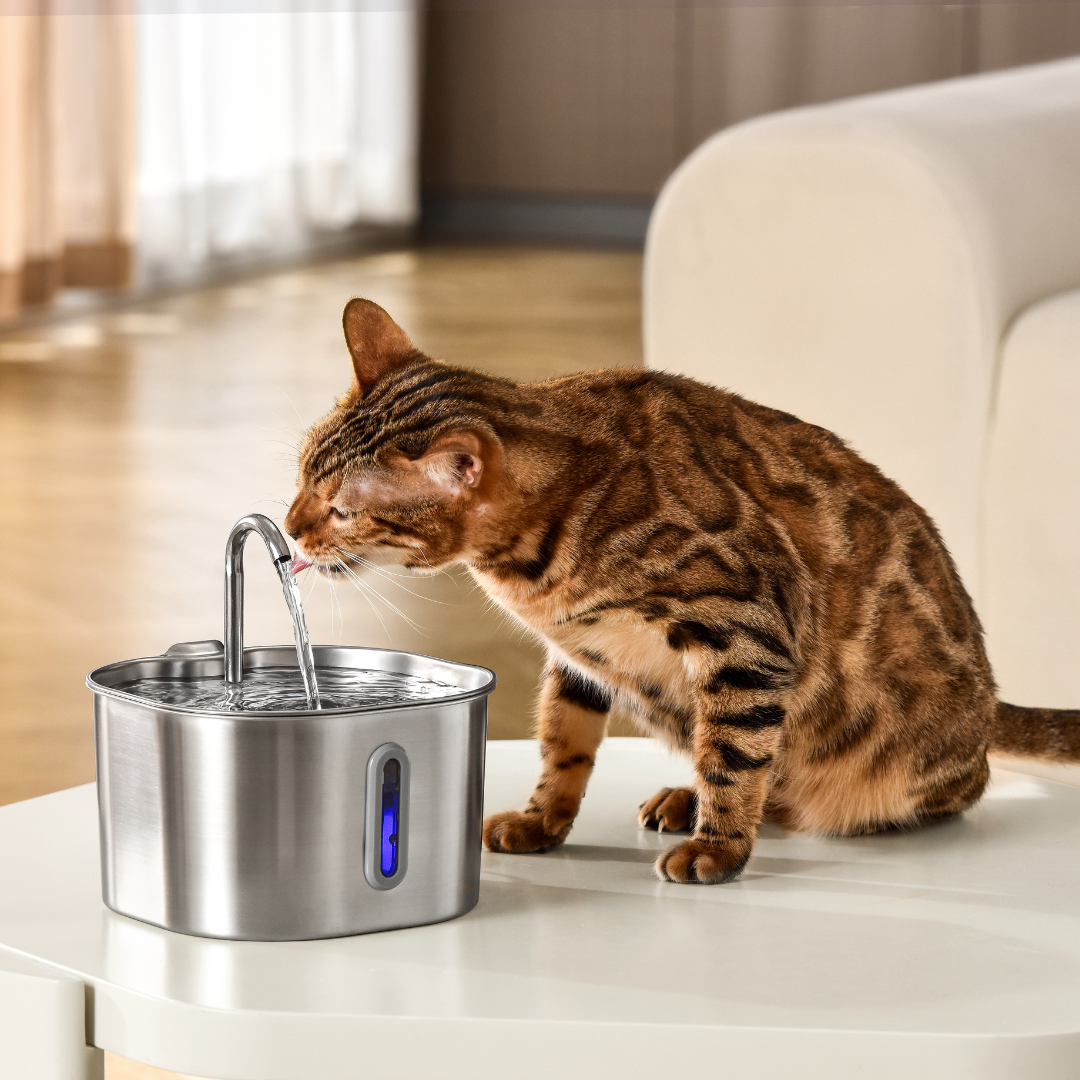 The KittySpout™ - 2.2L Fountain Health and Happiness Kit