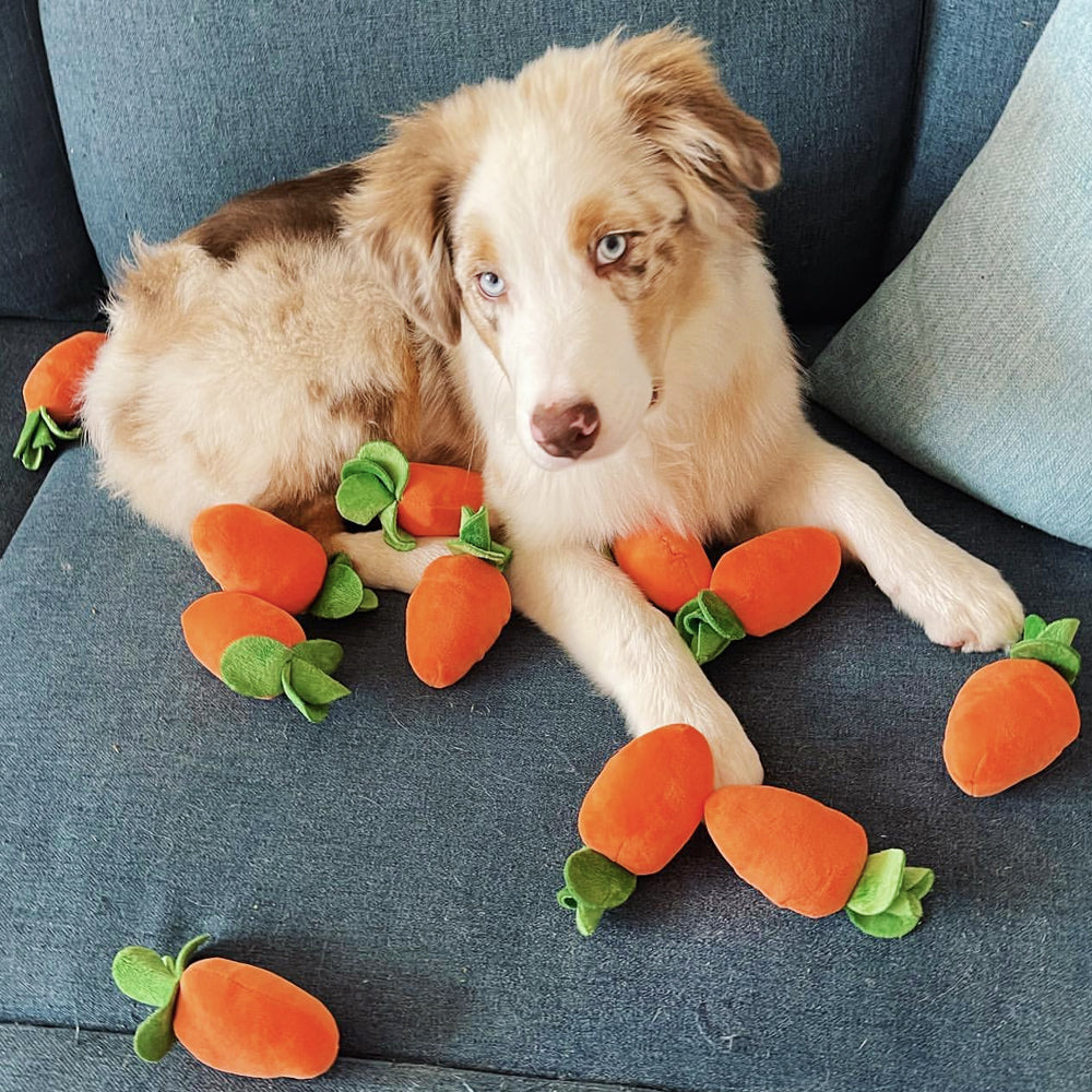 Carrot Farm Interactive Snuffle Toy for Dogs
