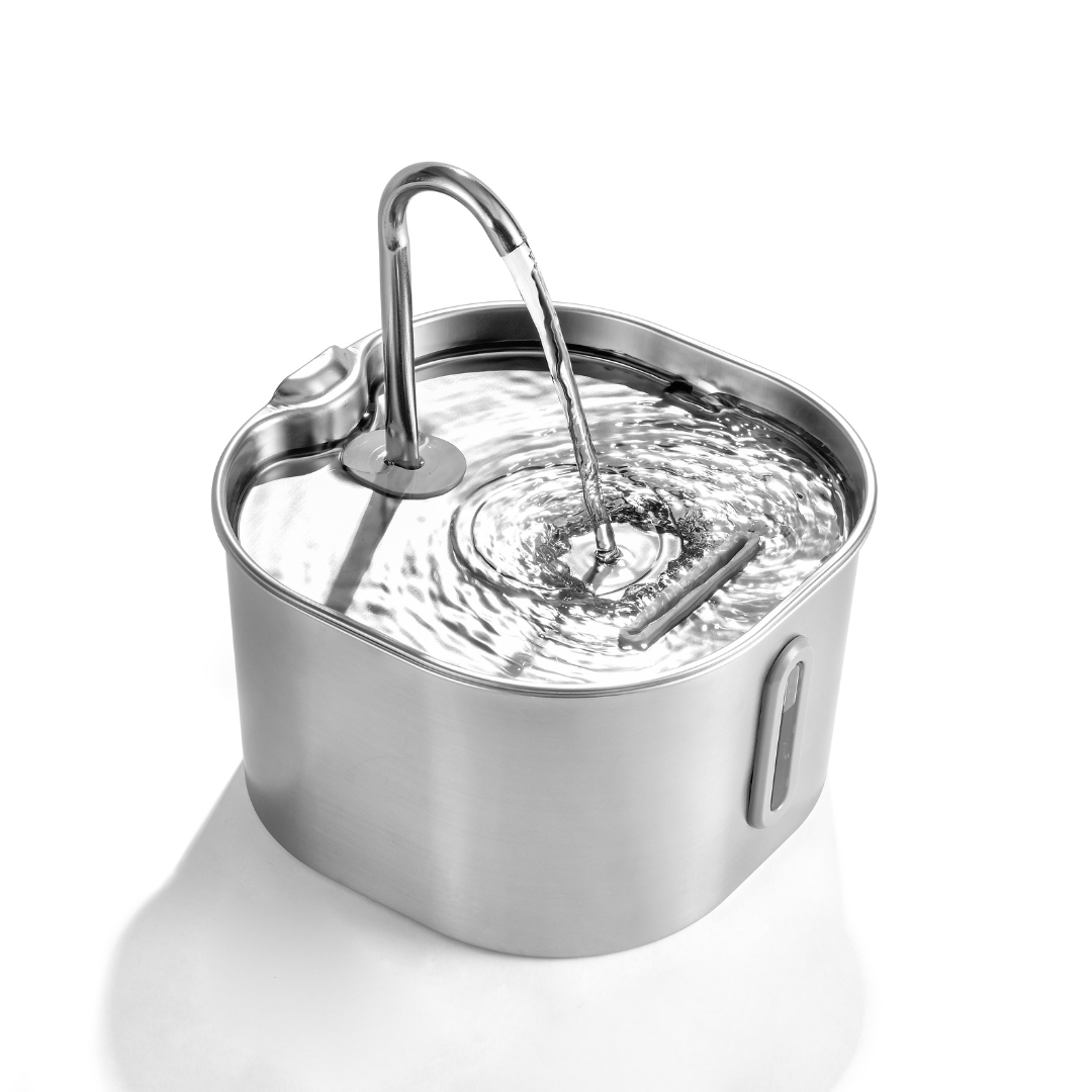 The KittySpout™ - 2.2L Fountain Health and Happiness Kit