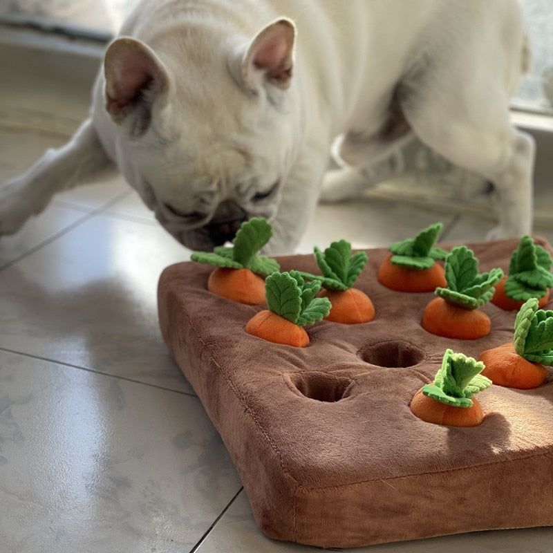 Carrot Farm Interactive Snuffle Toy for Dogs