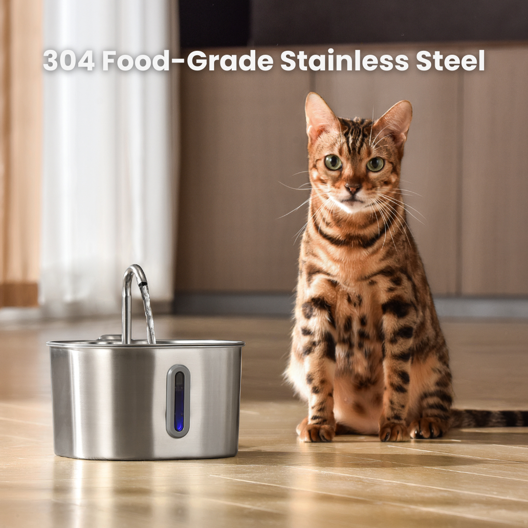 The KittySpout™ - 2.2L Fountain Health and Happiness Kit