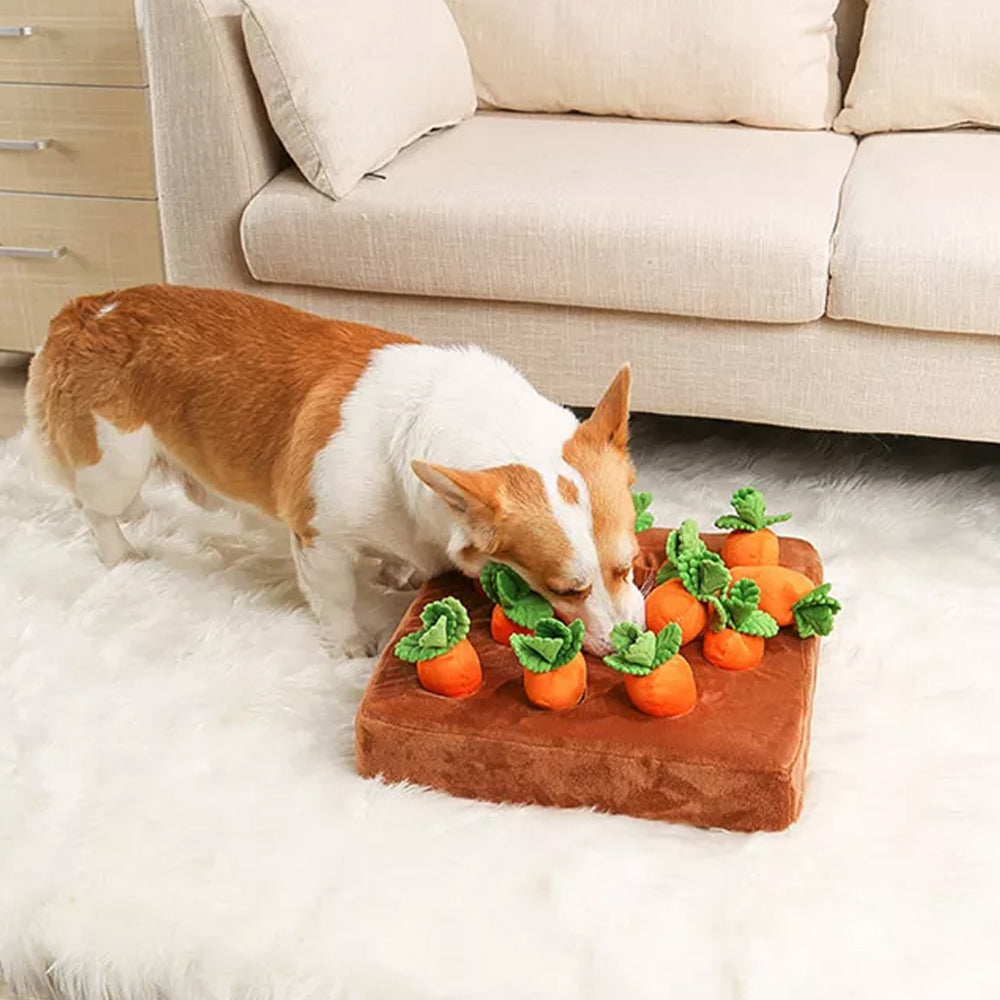 Carrot Farm Interactive Snuffle Toy for Dogs