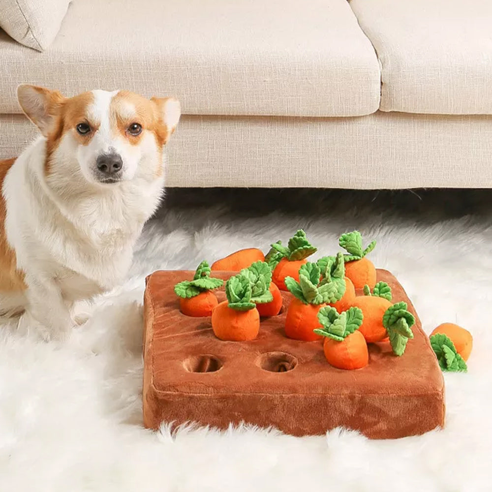Carrot Farm Interactive Snuffle Toy for Dogs