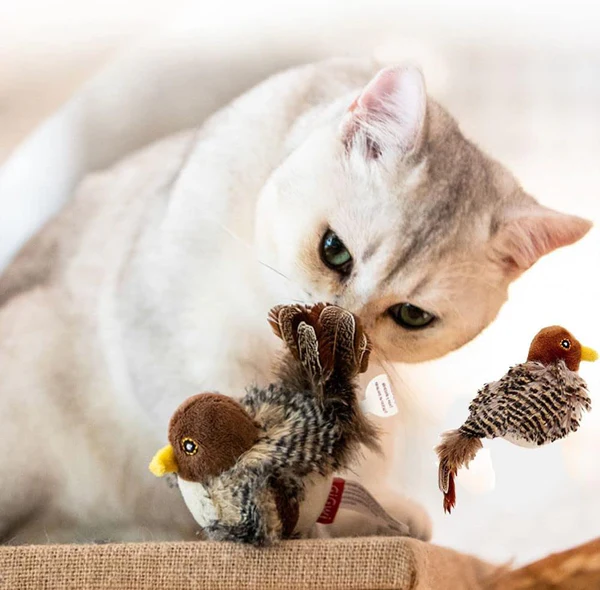 TweetMate Chirping Bird Toy for Cats | Realistic Hunting Fun