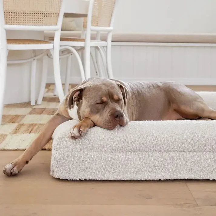 Orthopaedic Memory Foam Dog Bed