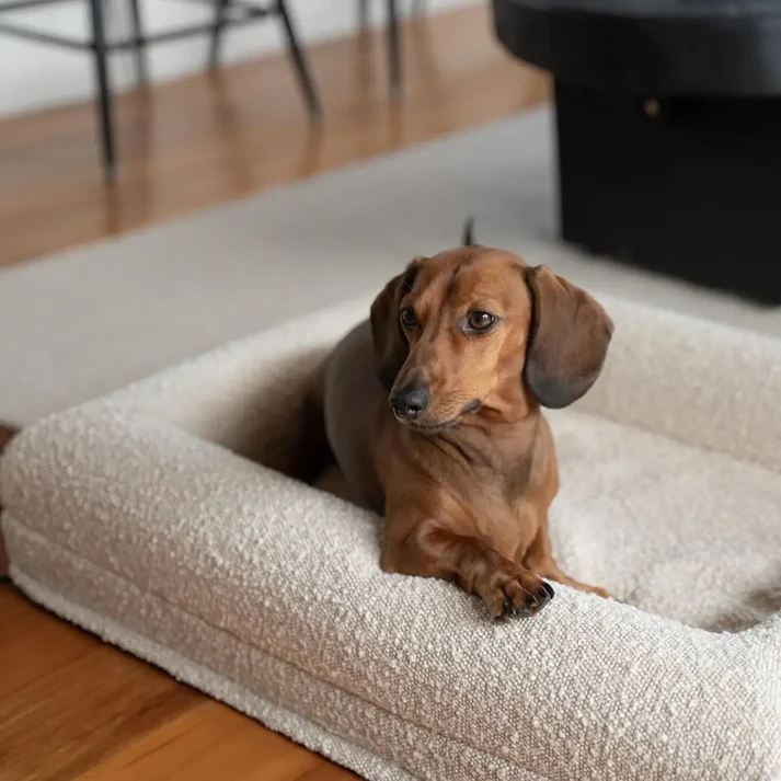 Orthopaedic Memory Foam Dog Bed