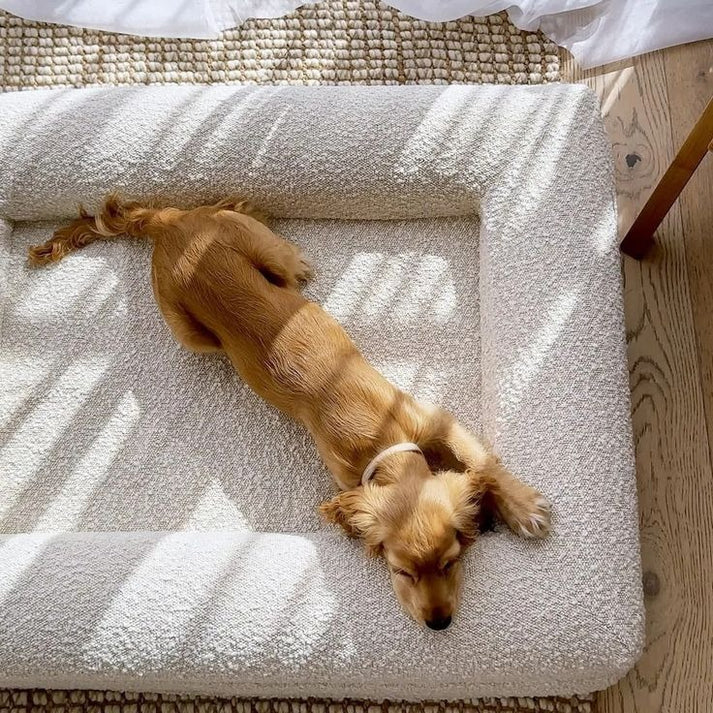 Orthopaedic Memory Foam Dog Bed