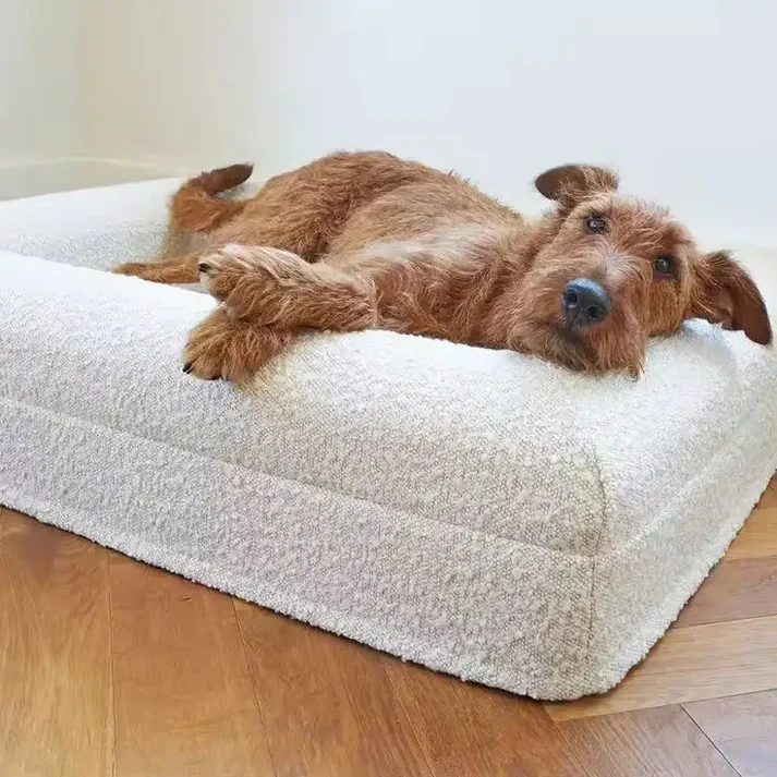 Orthopaedic Memory Foam Dog Bed