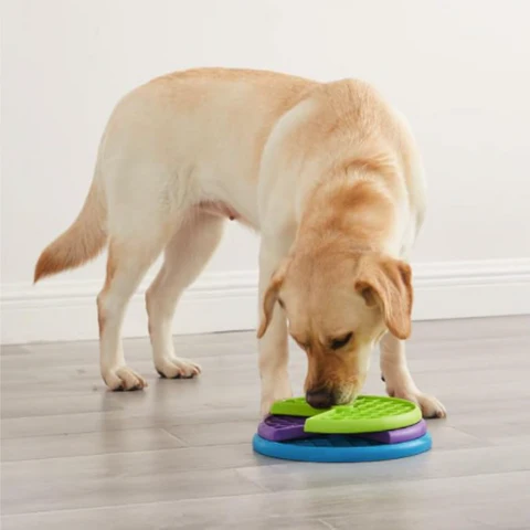 SnifferTurner | Interactive Rotating Dog Bowl for Mental Stimulation & Healthier Eating