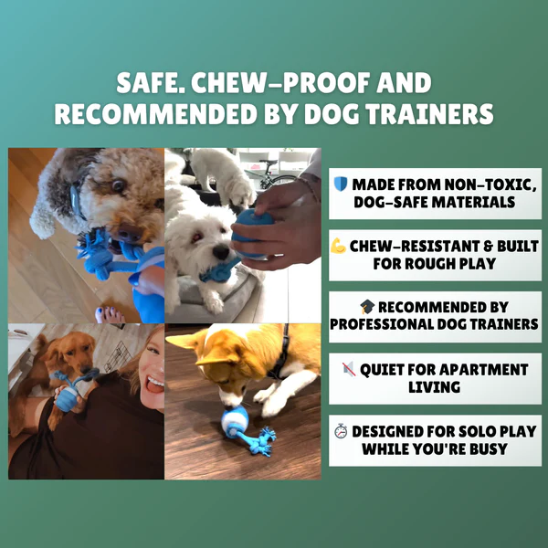 The Chase Buddy – Engaging, Smart Toy For Happy, Stimulated Dogs