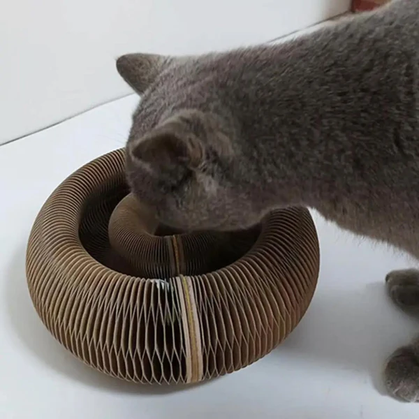 Cat Donut Scratcher