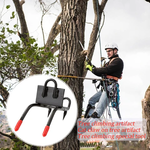 Professional Tree Climbing Tools for Adventurers and Arborists