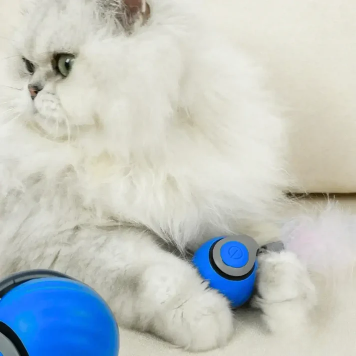 Smart Speedy Interactive Cat Toy