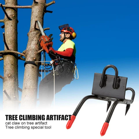 Professional Tree Climbing Tools for Adventurers and Arborists