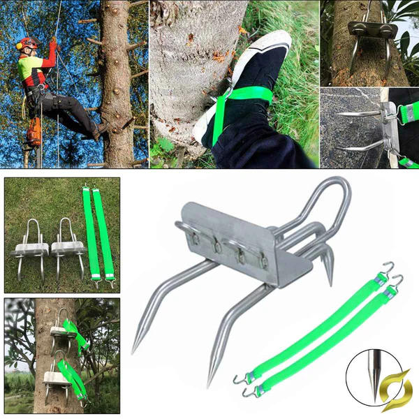 Professional Tree Climbing Tools for Adventurers and Arborists