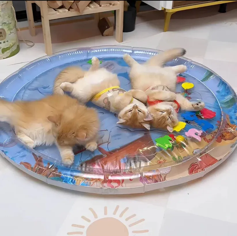 Pet Interactive Water Cooling Mat