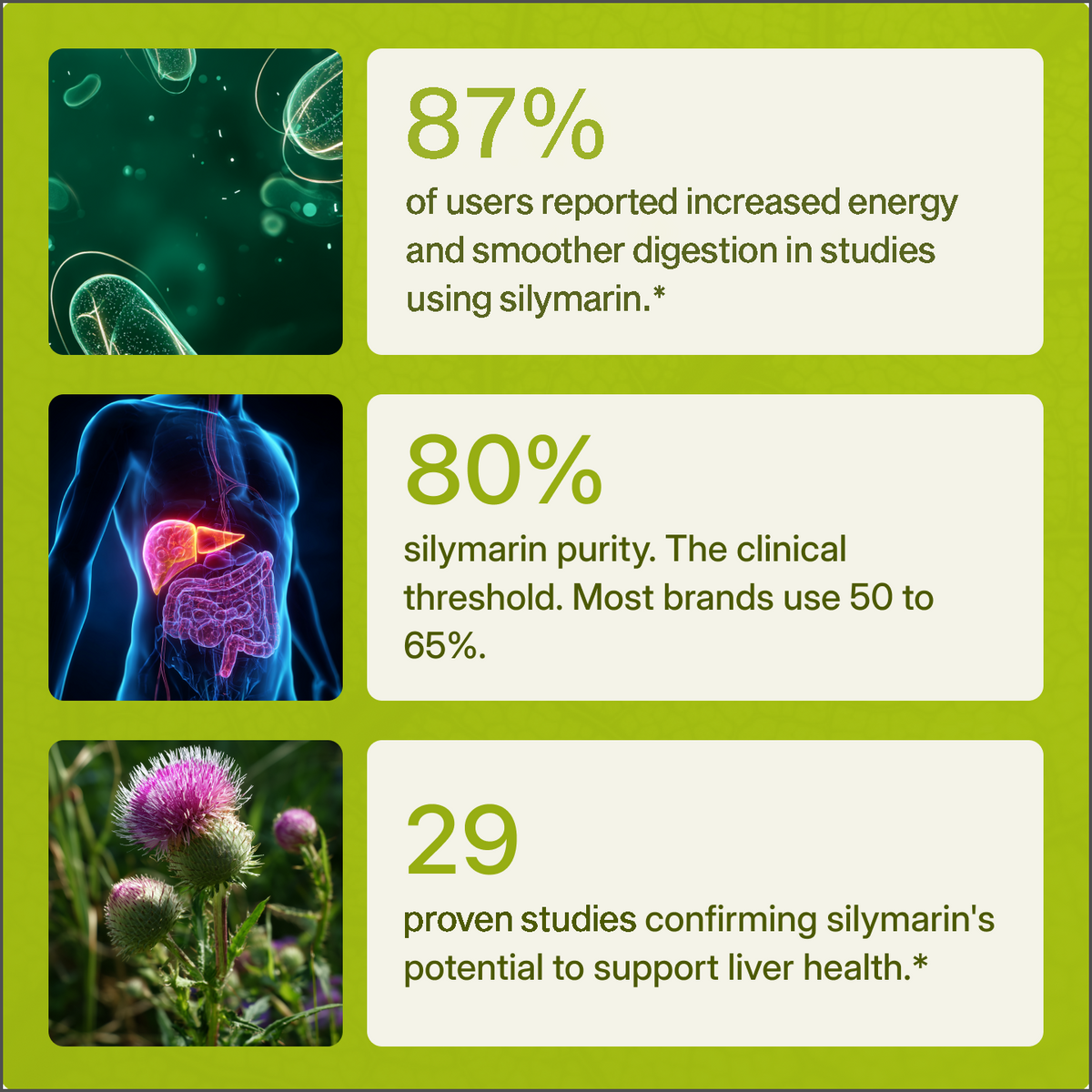 Uvola - Milk Thistle Support.