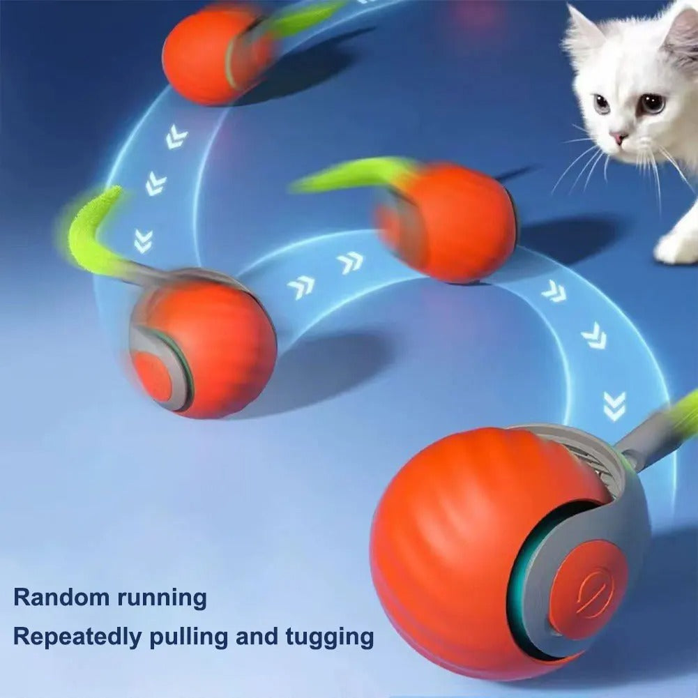 Interactive Ball 2.0 for Felines | SMARTKITTY