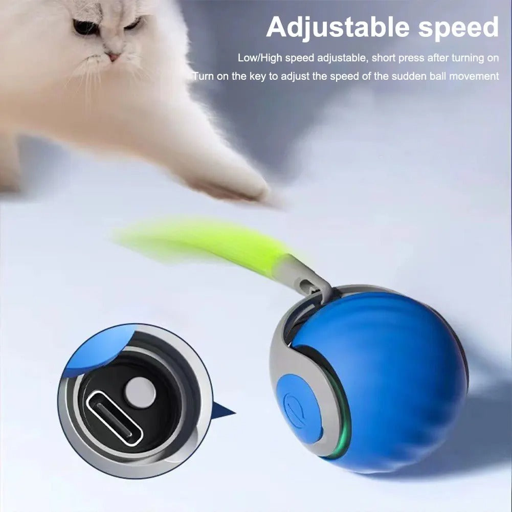 Interactive Ball 2.0 for Felines | SMARTKITTY