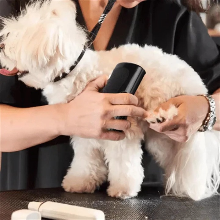 Fellwunder Brush | The Bestseller