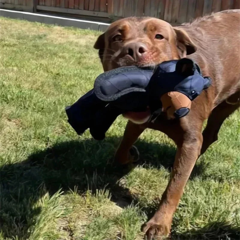 Unstoppable indestructible bear for dogs