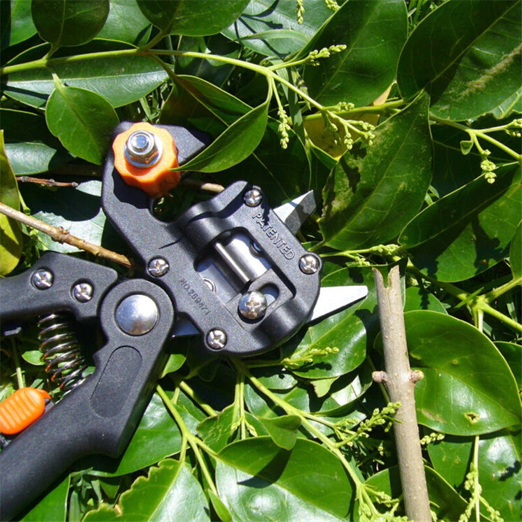 Professional Garden Grafting Tool