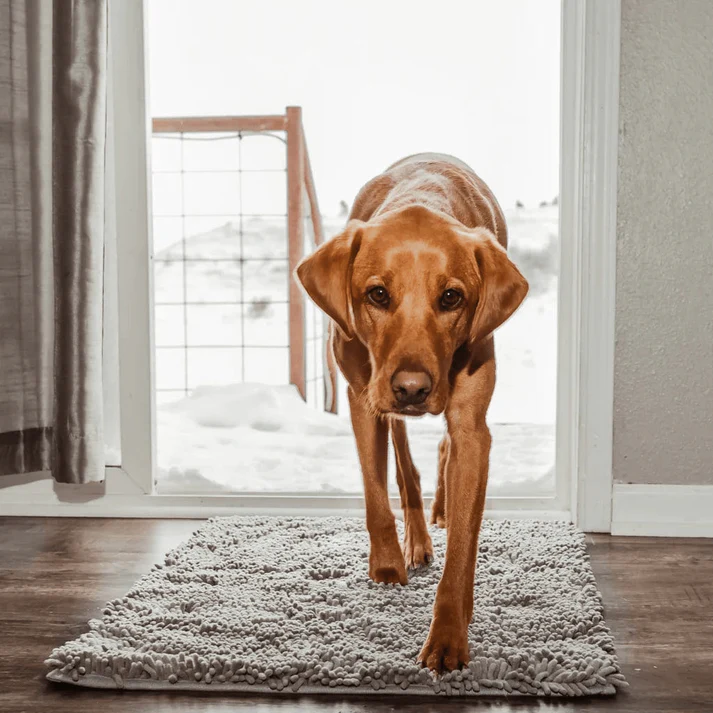 Super Absorbent Pet Mat