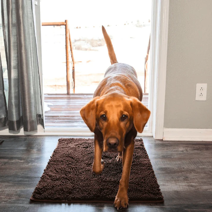 Super Absorbent Pet Mat