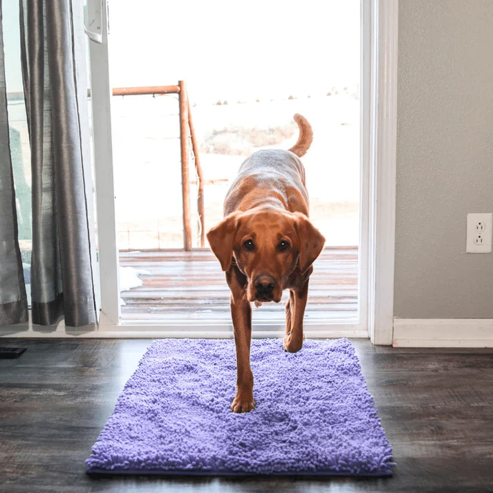 Super Absorbent Pet Mat