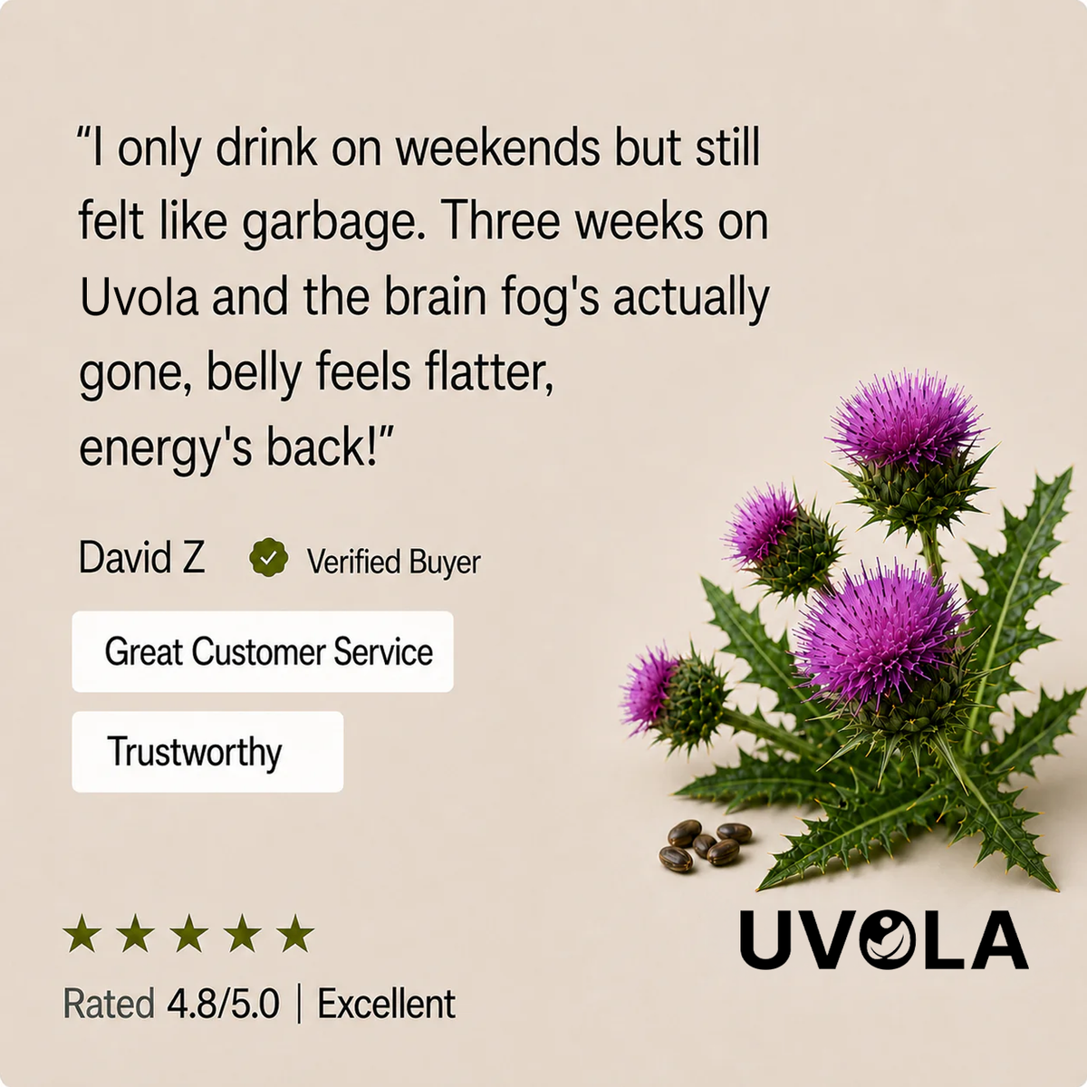 Uvola - Milk Thistle Support.