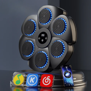 ProBoxer Smart Boxing Trainer | Fun & Interactive Home Workout for All Ages