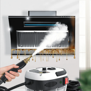 2500W Steam Cleaner | Powerful Stain Removal and Deep Cleaning