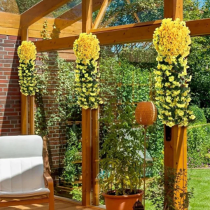 Charmante-orchideeen-geel-www.middo_.nl_720x_cleanup