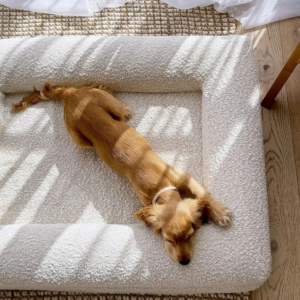 Orthopaedic Memory Foam Dog Bed