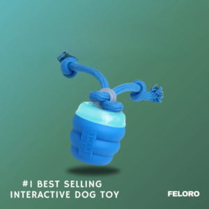 The Chase Buddy – Engaging, Smart Toy For Happy, Stimulated Dogs