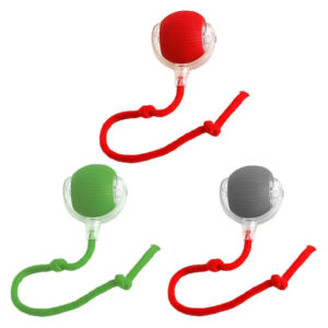 Smartball Interactive Cat Toy